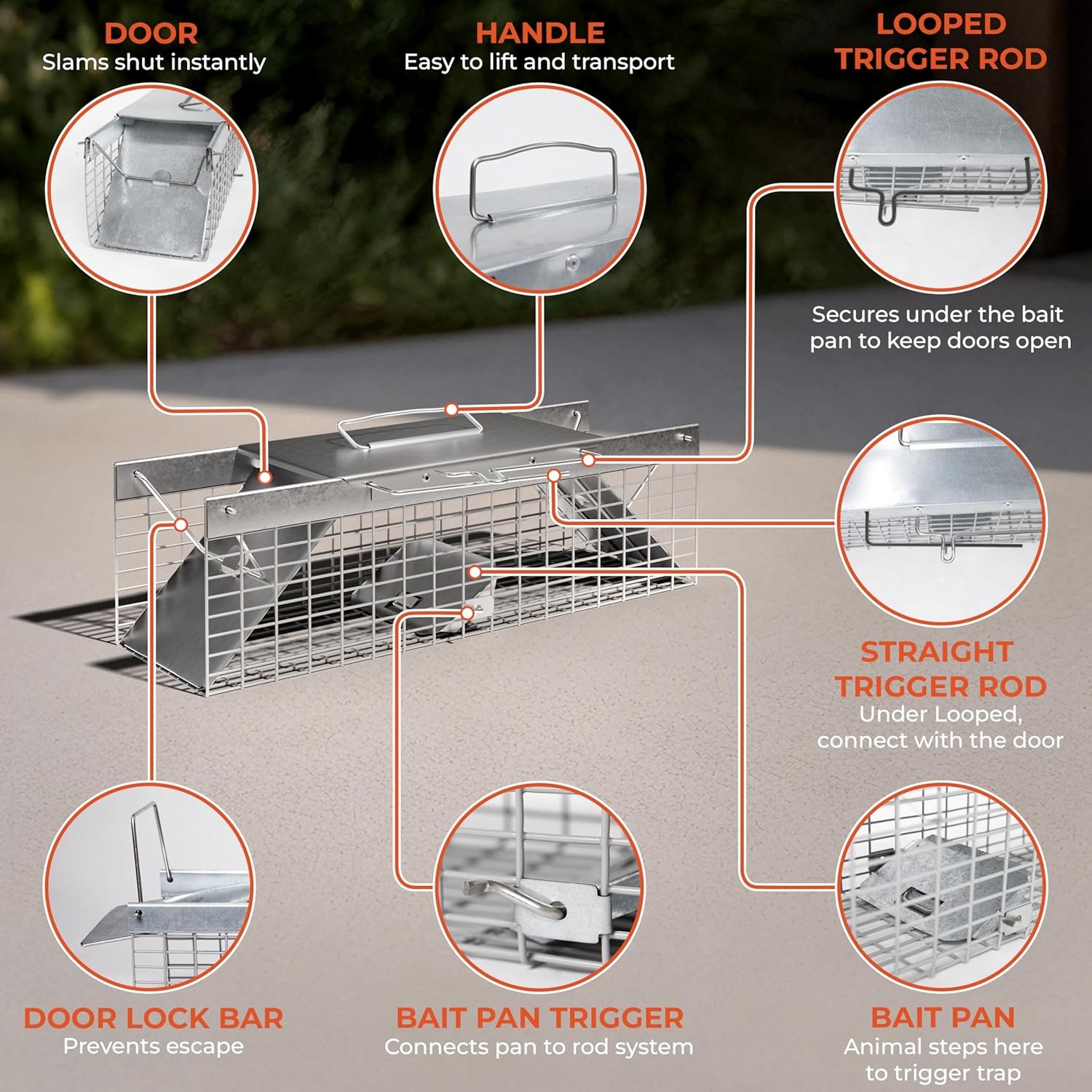 image:imageHOMESTEAD Heavy Duty Live Trap Professional Style OneDoor Live Animal Traps for Rabbit Squirrel Possum Skunk Kitten Mink Small18 inch