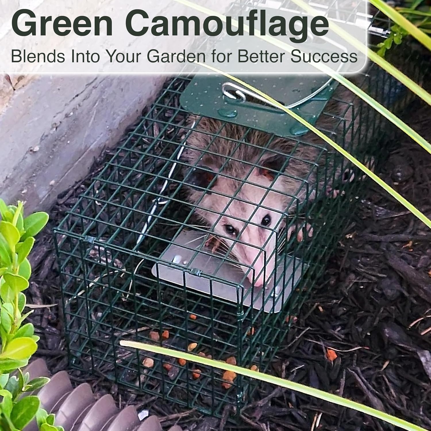 image:imageHOMESTEAD Heavy Duty Live Trap Professional Style OneDoor Live Animal Traps for Rabbit Squirrel Possum Skunk Kitten Mink Small24 inch