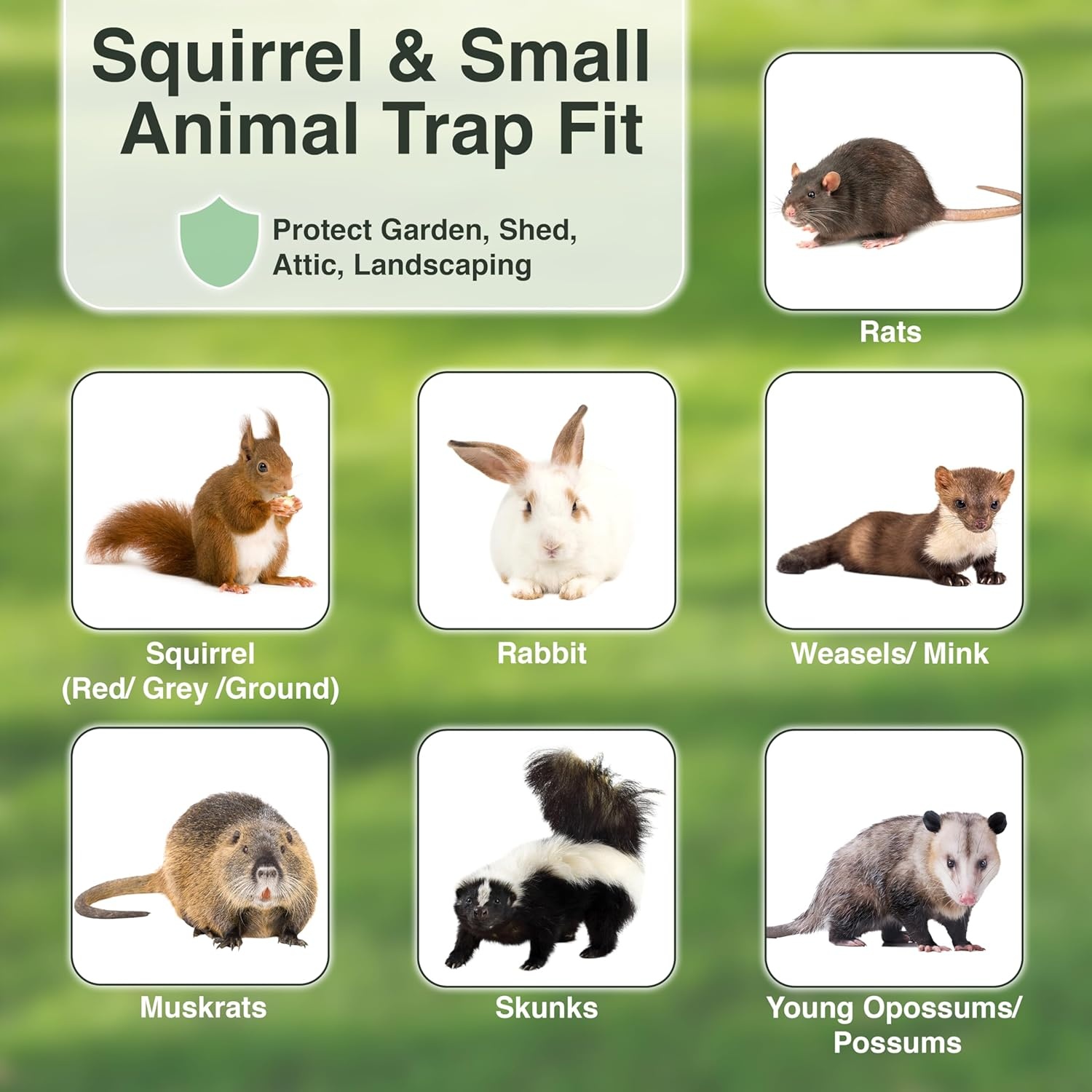 image:imageHOMESTEAD Heavy Duty Live Trap Professional Style OneDoor Live Animal Traps for Rabbit Squirrel Possum Skunk Kitten Mink Small24 inch