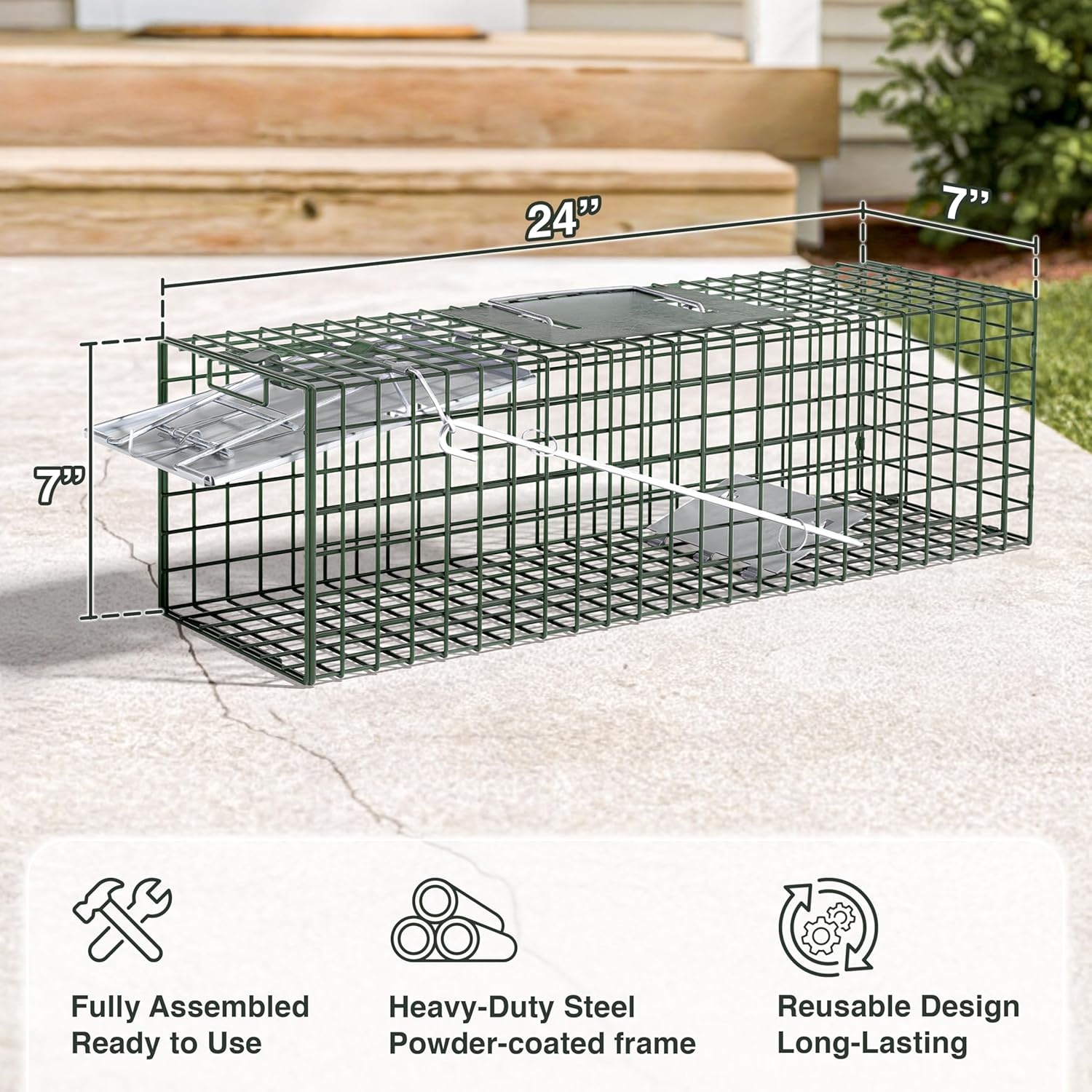 image:imageHOMESTEAD Heavy Duty Live Trap Professional Style OneDoor Live Animal Traps for Rabbit Squirrel Possum Skunk Kitten Mink Small24 inch